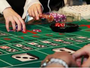 46倍狮子森林舞会2024最新版